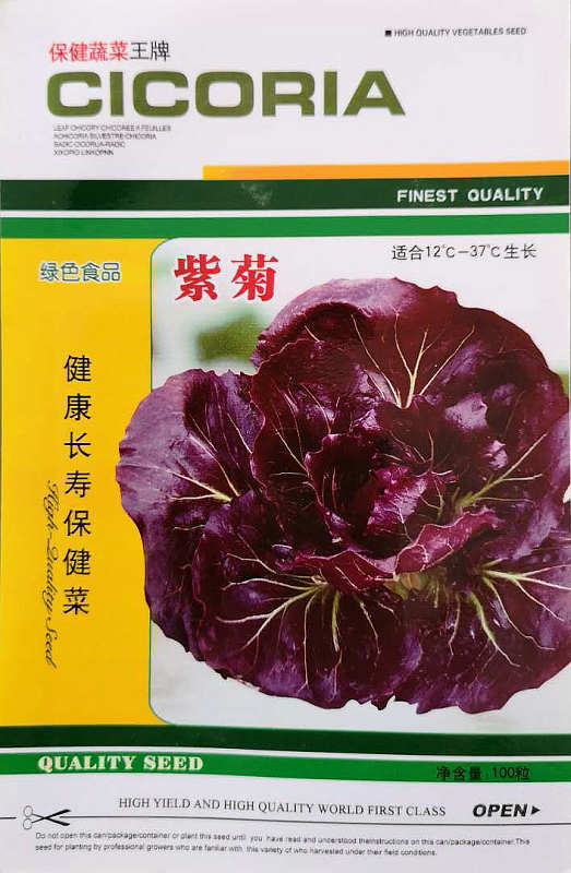 紫菊——紫红保健菜